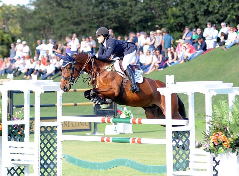 Postcard: Show Jumping at the 2015 Winter Equestrian Festival promo image