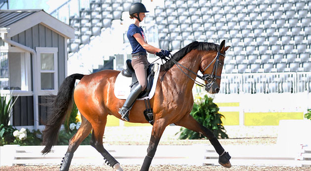 Postcard: Toronto 2015 Pan American Games Dressage Training Day promo image