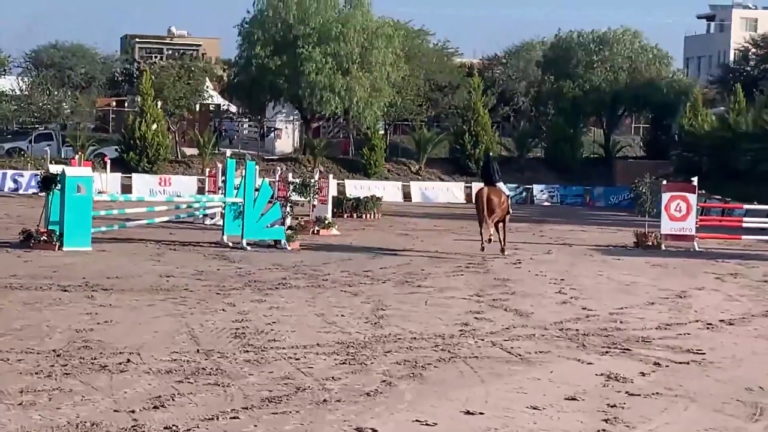PRACTICAL HORSEMAN_BEEZIE MADDEN_JUMPING CLINIC_SUMMER 2021 ISSUE