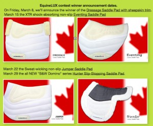 Prizes in the Equinelux Sweepstakes