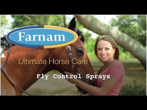 Protect Your Horse from Diseases Carried By Insect Pests promo image
