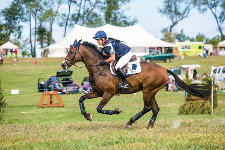 Research Update: Equine Heart Health promo image