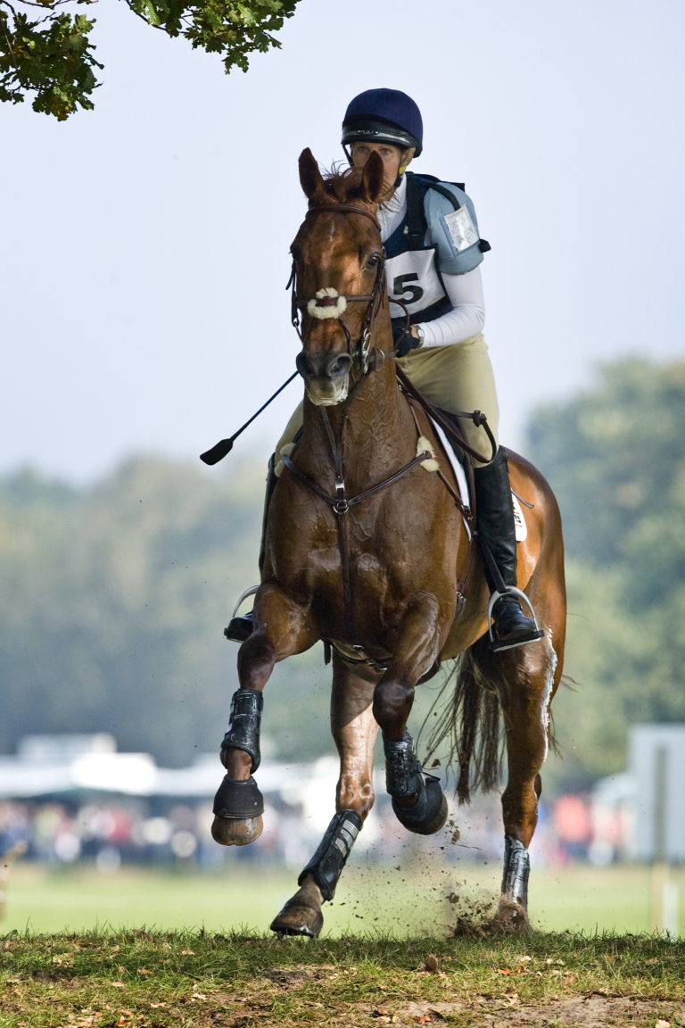 Respiratory Problems? Help Your Horse Breathe Easy promo image