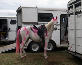 Ride for the Cure Virginia promo image