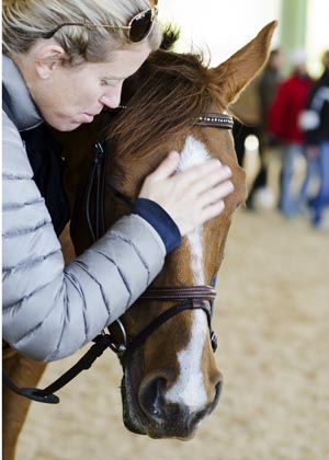Rider to Rider: If your horse could speak for 5 minutes, what would you ask him? promo image