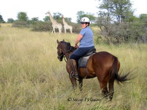 Riding safari in Botswana