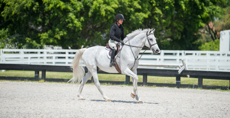 Sandy_Ferrell_Equitation copy