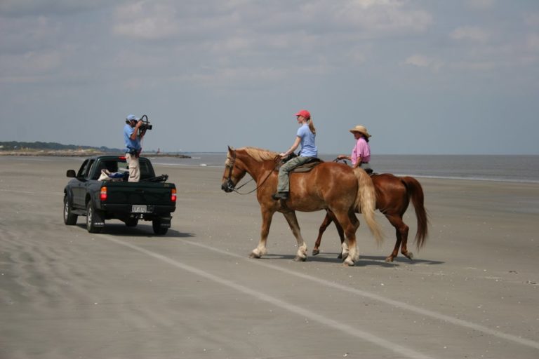 Sea Island Nature Ride promo image
