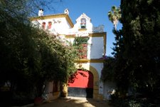 Seville Countryside Ride, Spain promo image