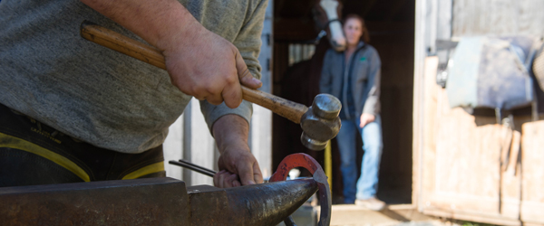 Shoeing Your Horse