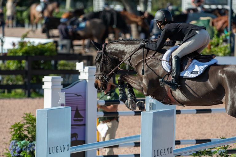 Show Jumper 1