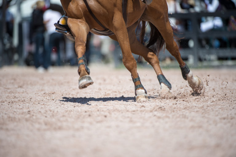 Show Jumping Dr Worden