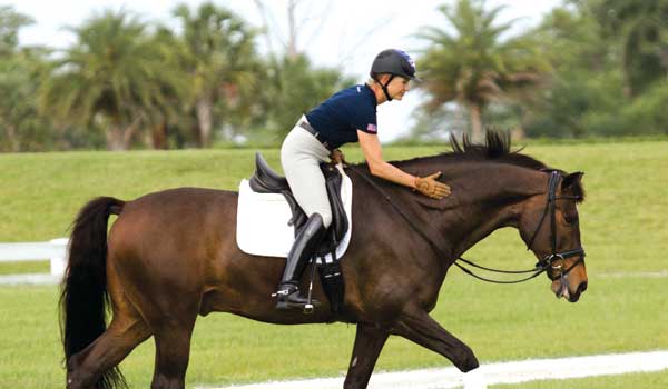 Show Tips for a Happy Horse promo image