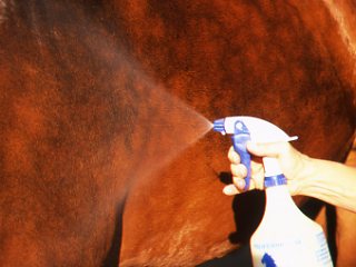Six Ways to Improve Your Fly Control promo image