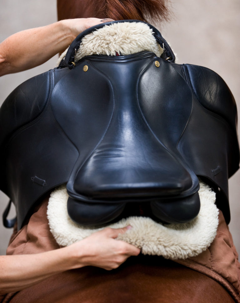 Sore Backs and Saddles promo image