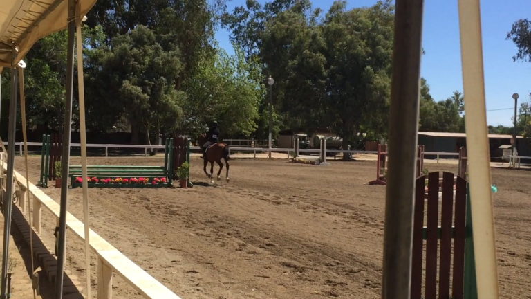 Spring 2020 Jumping Clinic Video