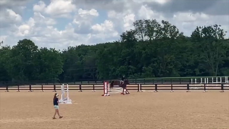 Spring 2021 Jumping Clinic