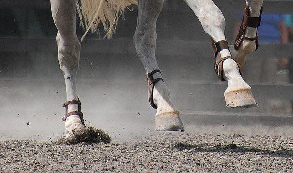 Stride Counting