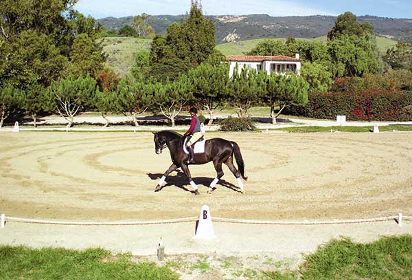 Structure Your Ride to Get Your Horse Fit Safely promo image