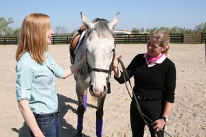 Thoroughbred Rehabilitation Video Clip promo image