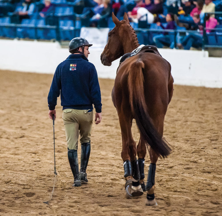 Tik Maynard: Earning the Trust of a Thoroughbred promo image
