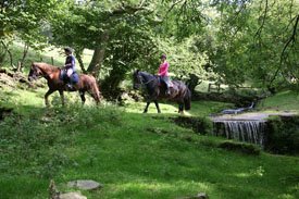 Tregoyd Mountain Riders, Wales promo image