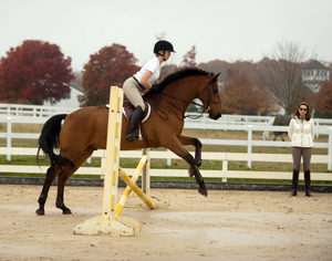 TrottingFence