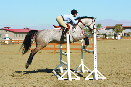 Use Handy Hunter Skills To Improve His Rideability promo image