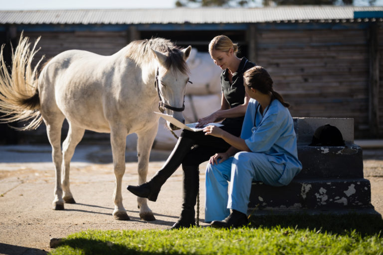vet horse owner computer horse outside iStock-838035810(1)