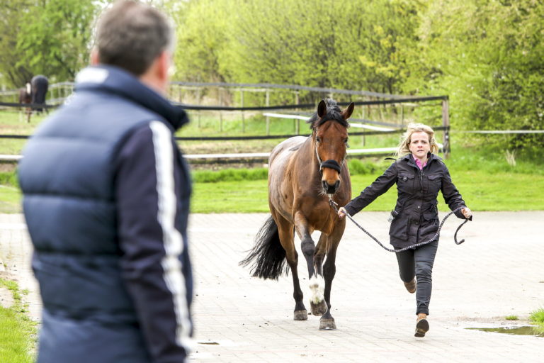 Vet on Call Preventative Exam