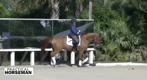 Video: Build Trust for Better Trot Lengthenings promo image