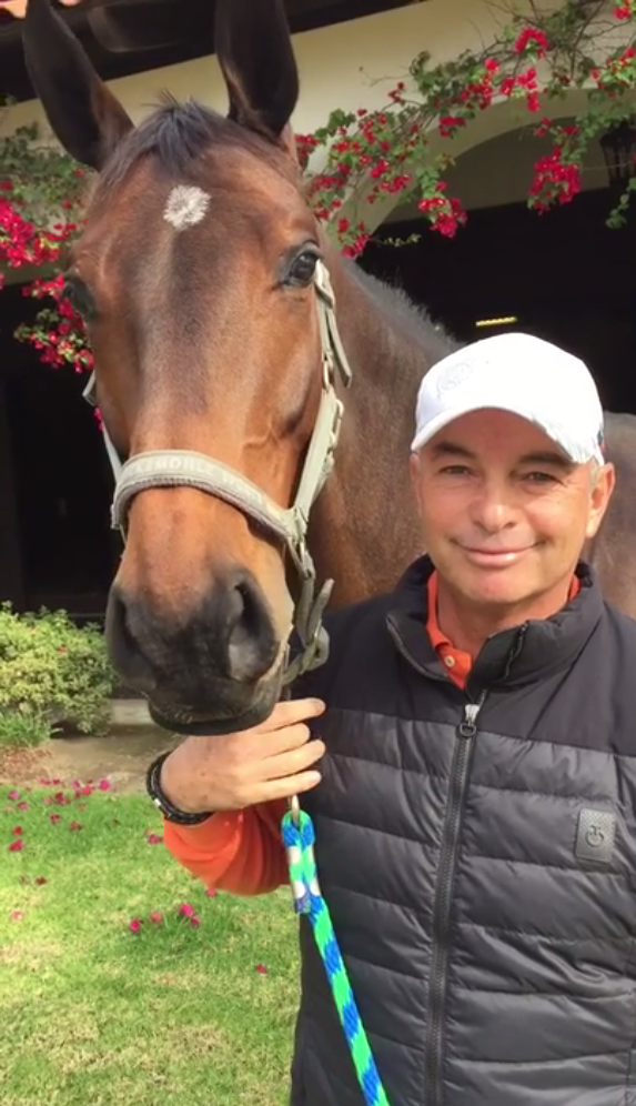 Video: Interview with Top Show Jumper Enrique Gonzalez promo image