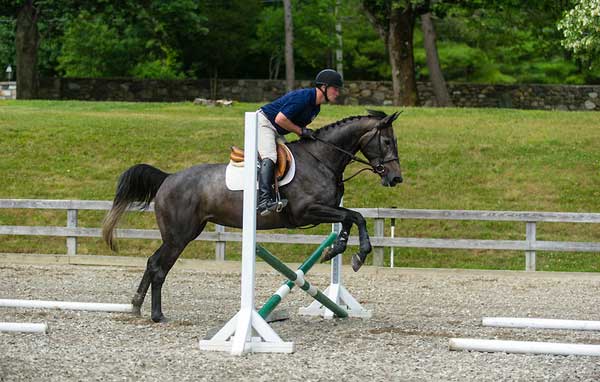 Video: Peter Leone: In-and-Outs, Exercises for the Green Horse and Green Rider promo image
