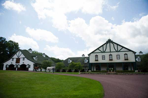 Video: Tour Peter Leone's Lionshare Farm promo image
