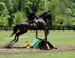 Virginia Hunt Country Stable Tour promo image