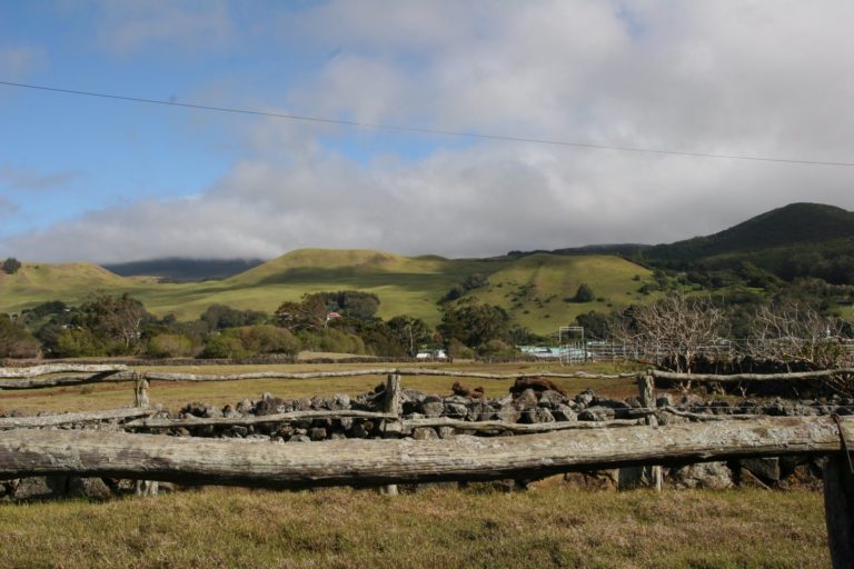 Waimea, Holualoa on the Big Island promo image