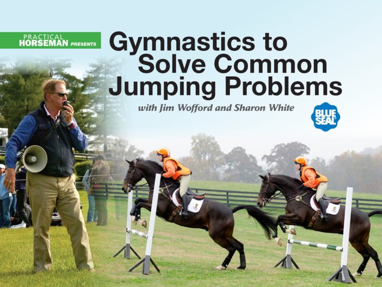 Webinar: Gymnastics To Solve Common Jumping Problems promo image