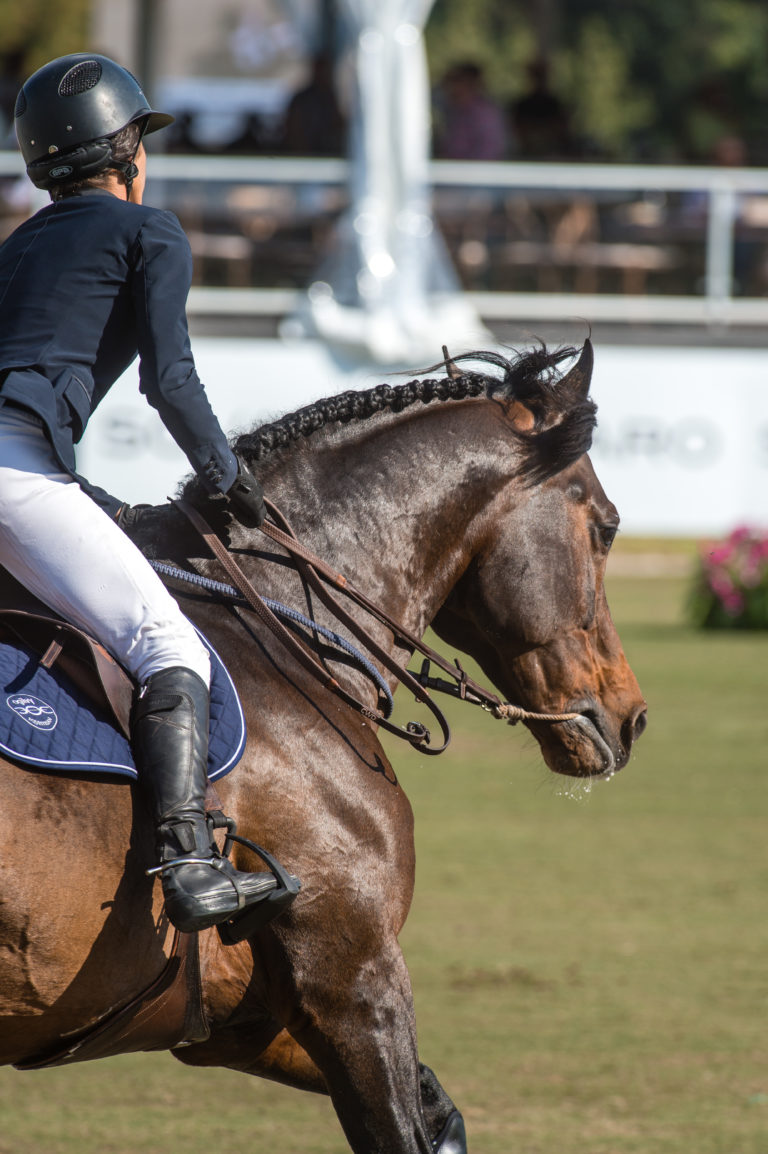 WEF-17-0203-AD2e-131