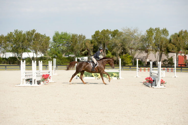 WEF-18-0319-AD4a-959