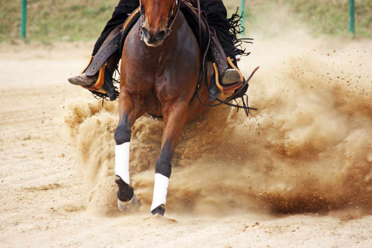What You Don't Know About Barn Hygiene Could Hurt Your Horse's Performance promo image
