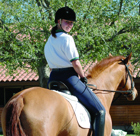 Whidbey, also known as Joey, is one of the young prospects Adrienne is developing for the Thomases