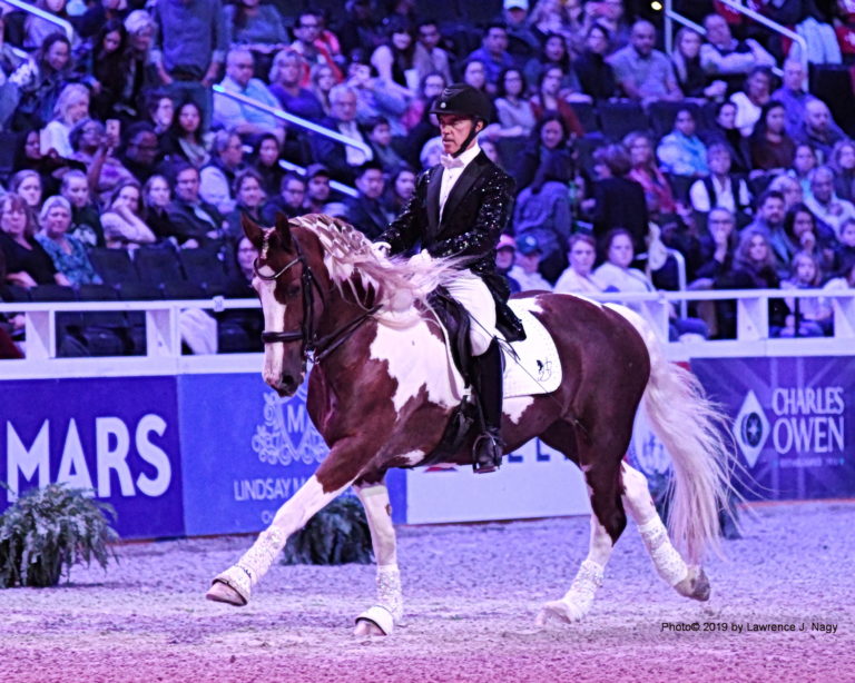 wihs oct. 26 eq class, dressge no