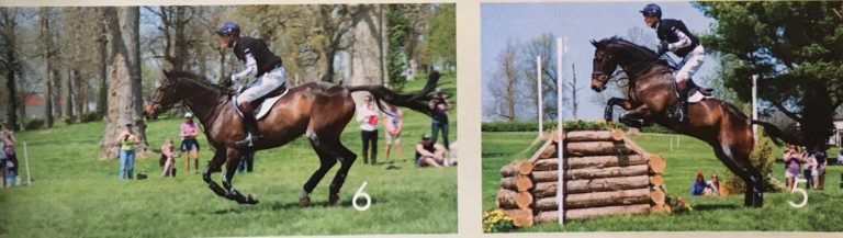 William Fox Pitt 5 and 6