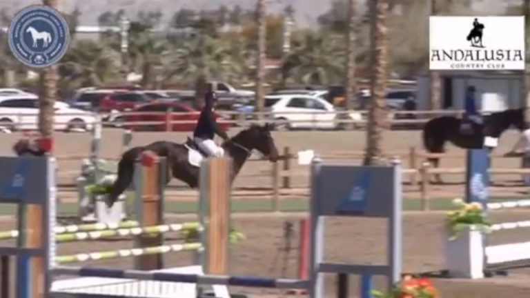 Winter 2020 Jumping Clinic