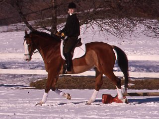 Winter Riding on Ice and Snow promo image