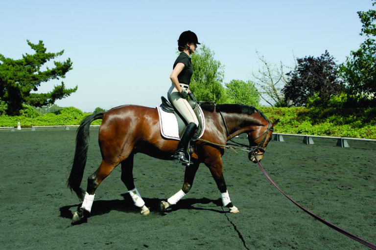 You CAN Master Sitting Trot—REALLY! promo image