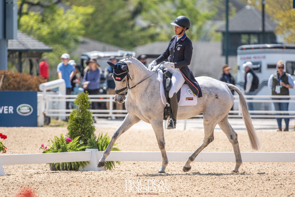 Tamie Smith Fleeceworks Royal