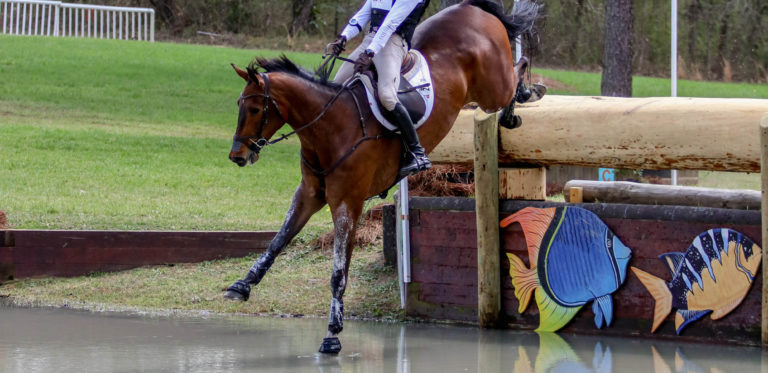 Carolina International, CCI4 Star, Cross Country, Dondante, Photo by Julia Murphy, Will Coleman-3 copy