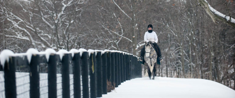 Cochranville, Pennsylvania, USA, hack, ride, scenic, schooling, snow, thoroughbred, winter
