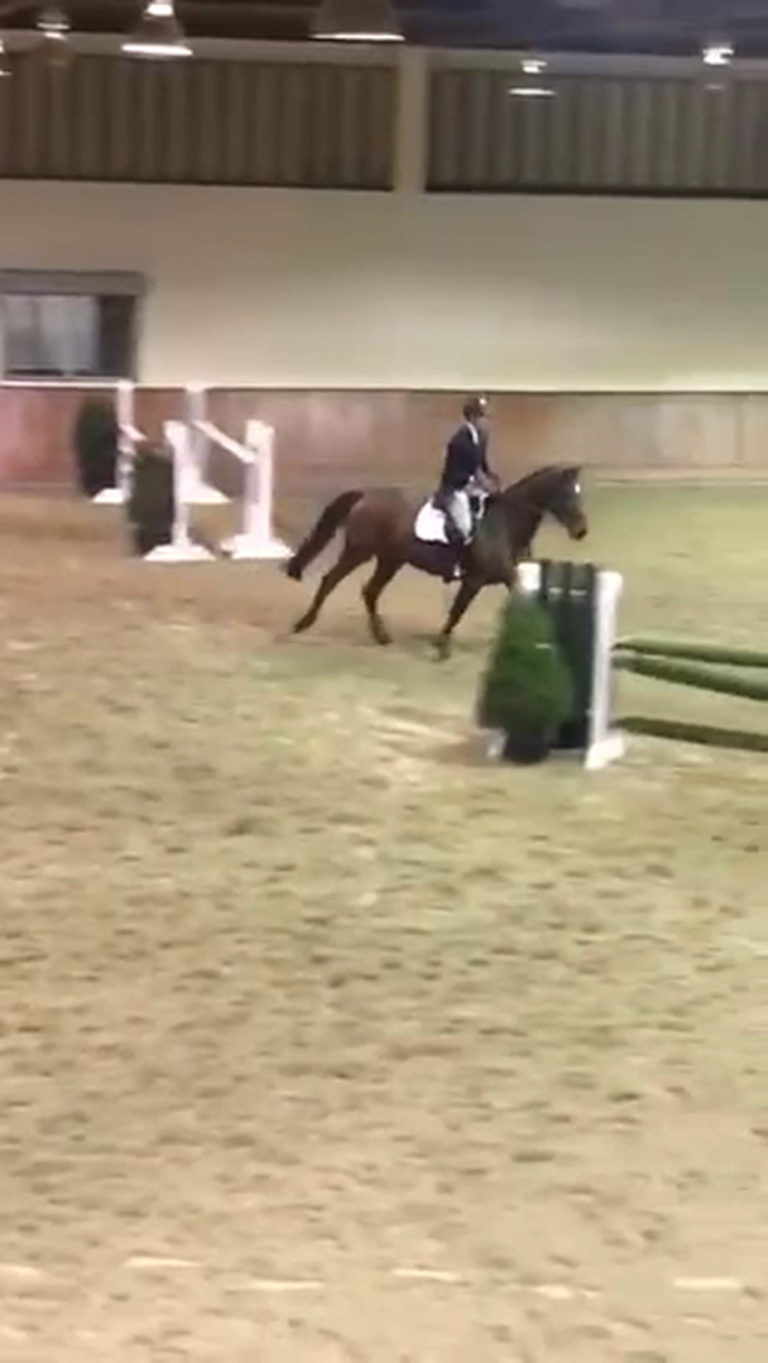 Spring 2022 Jumping Clinic